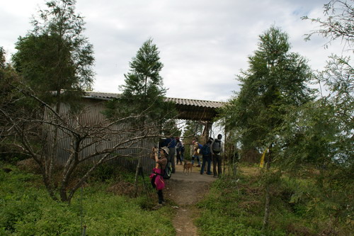 19馬那邦山賞楓.JPG