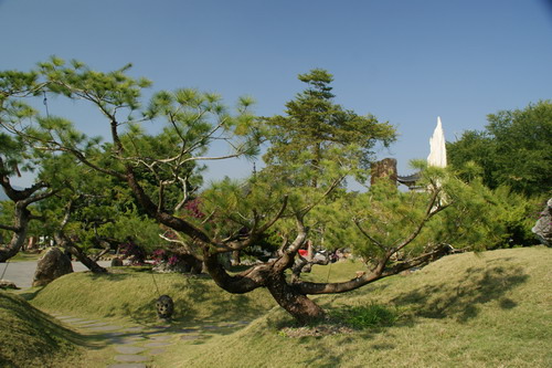 32玄空法寺.JPG