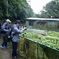 19銀河洞越嶺步道.JPG