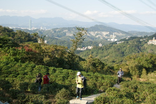 41貓空搭纜車遊樟樹樟湖步道.JPG