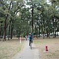 40旗津海岸公園.JPG