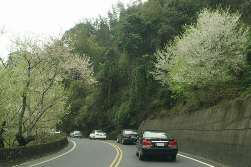 02合歡山賞雪賞櫻之旅.jpg