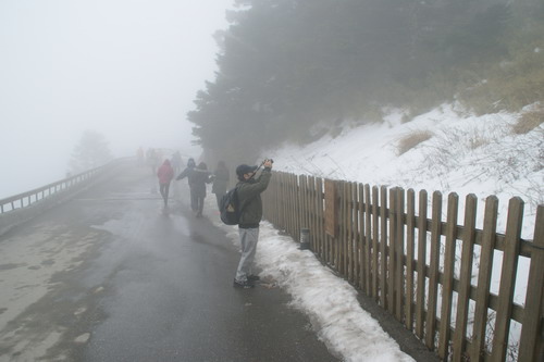 15合歡山賞雪賞櫻之旅.JPG