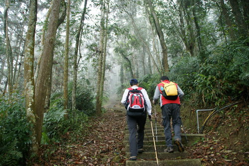 11水社大山.JPG