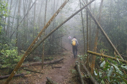 22水社大山.JPG