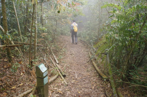 25水社大山.JPG