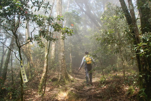 38水社大山.JPG