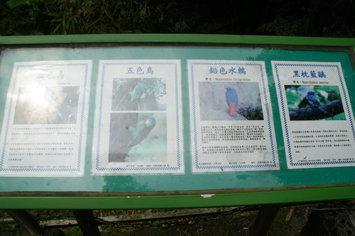 31康樂山柿子山O行縱走.JPG