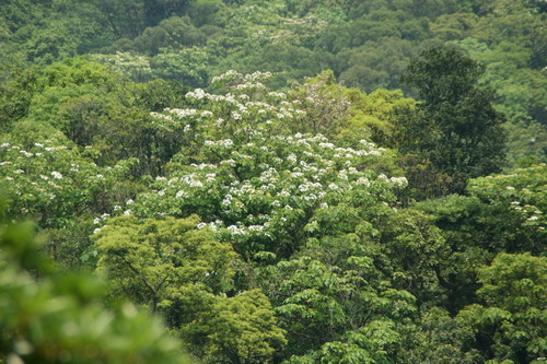 40內湖內溝山老鷹山翠湖.JPG