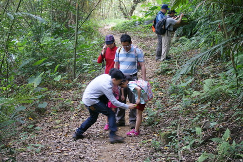 10學頭坡山老鷹尖賞桐之旅.JPG