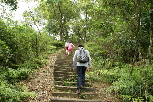 11學頭坡山老鷹尖賞桐之旅.JPG