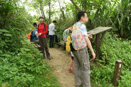 14學頭坡山老鷹尖賞桐之旅.JPG