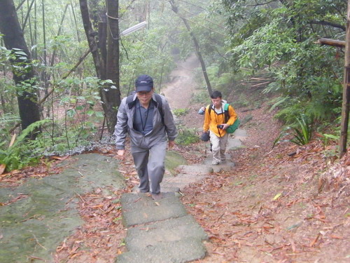 12鶯歌忠義宮縱走碧龍宮步道.JPG