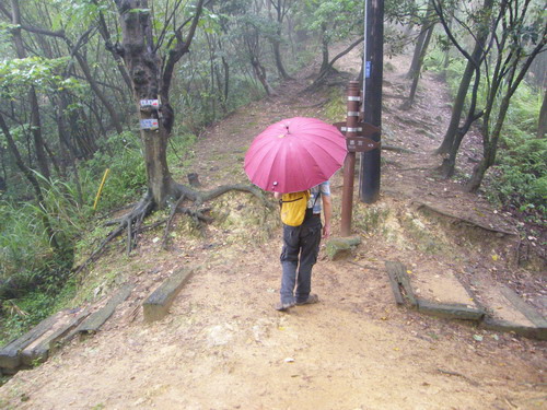 22鶯歌忠義宮縱走碧龍宮步道.JPG