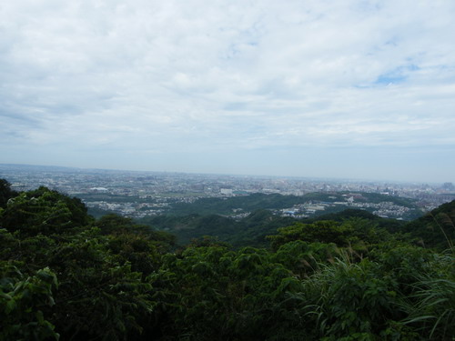 28鶯歌步道縱走千年榕樹百年樟樹.JPG