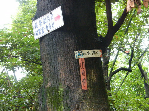 03大湖山福源山妙音步道