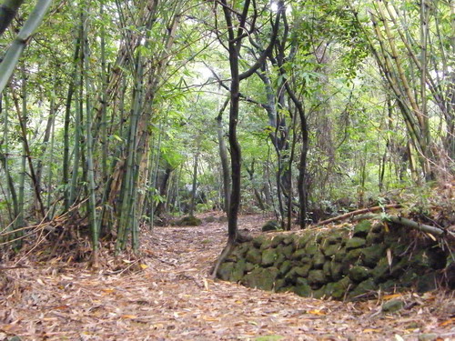 04大湖山福源山妙音步道