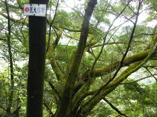 07大湖山福源山妙音步道