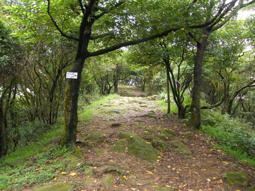 13大湖山福源山妙音步道