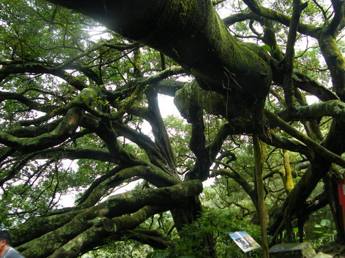 24大湖山福源山妙音步道