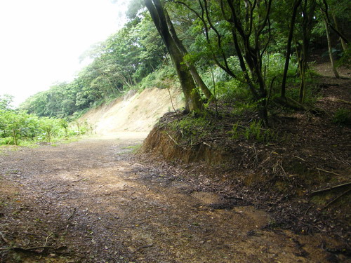 39大湖山福源山妙音步道