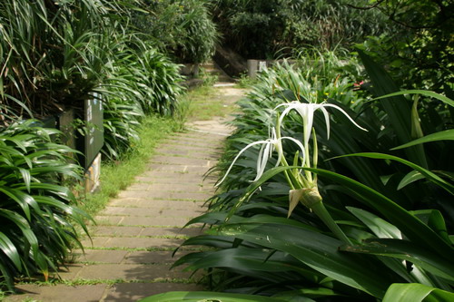 13鼻頭角步道