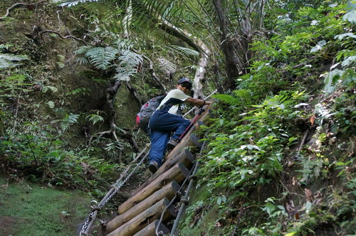 37三貂嶺瀑布群步道.JPG