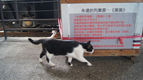 19猴硐貓村之旅.JPG