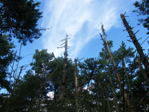 45多加屯山 雲稜山莊.JPG