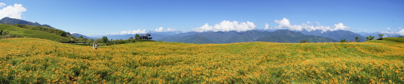 01六十石山赤柯山金針花之旅.jpg