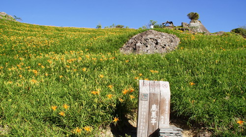 11六十石山赤柯山金針花之旅.JPG