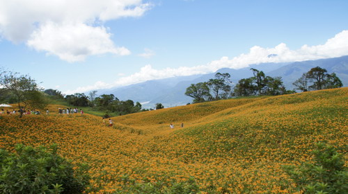 30六十石山赤柯山金針花之旅.JPG