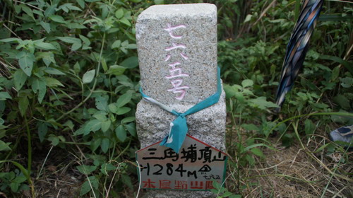 37三角埔頂山.JPG