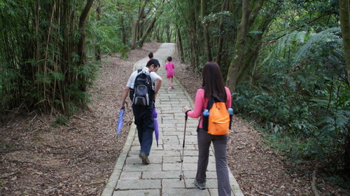 06樹林關公嶺大棟山青龍縱走.JPG