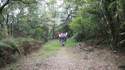 12樹林關公嶺大棟山青龍縱走.JPG