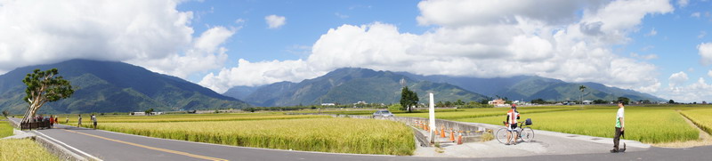 01池上金城武樹.JPG 01池上金城武樹.JPG