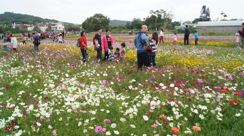 09蘆竹彩花節.JPG