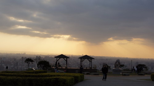 03桃園環保公園元旦夕陽紅.JPG