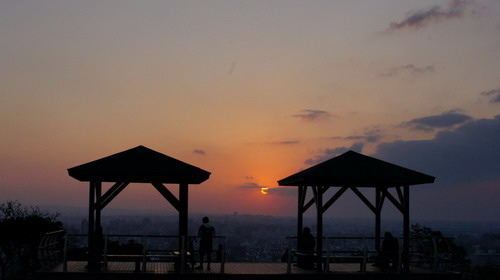 10桃園環保公園元旦夕陽紅.JPG