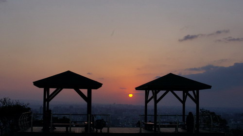 11桃園環保公園元旦夕陽紅.JPG