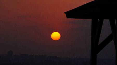 12桃園環保公園元旦夕陽紅.JPG