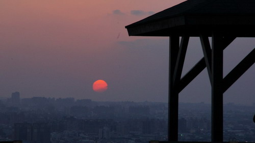 16桃園環保公園元旦夕陽紅.JPG