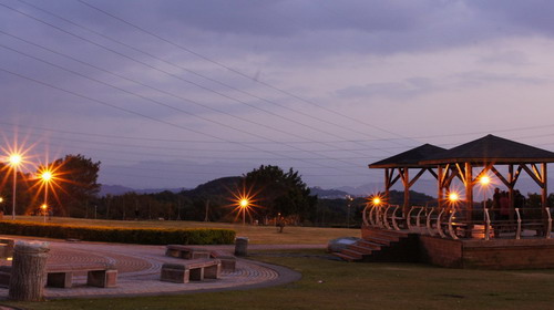 20桃園環保公園元旦夕陽紅.JPG