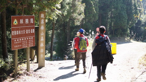 11觀霧榛山步道行.JPG