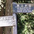 12觀霧榛山步道行.JPG