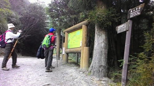 61觀霧榛山步道行.jpg
