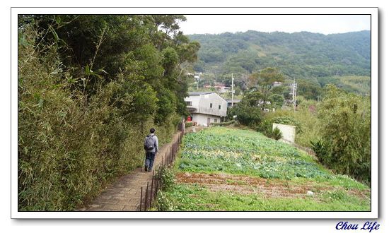 39白宮山莊上清宮步道賞櫻.JPG