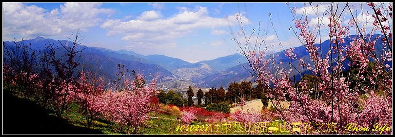 01梨山福壽山賞花之旅.jpg 01梨山福壽山賞花之旅.jpg