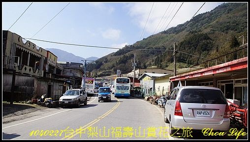 03梨山福壽山賞花之旅.JPG