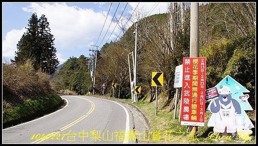 07梨山福壽山賞花之旅.jpg